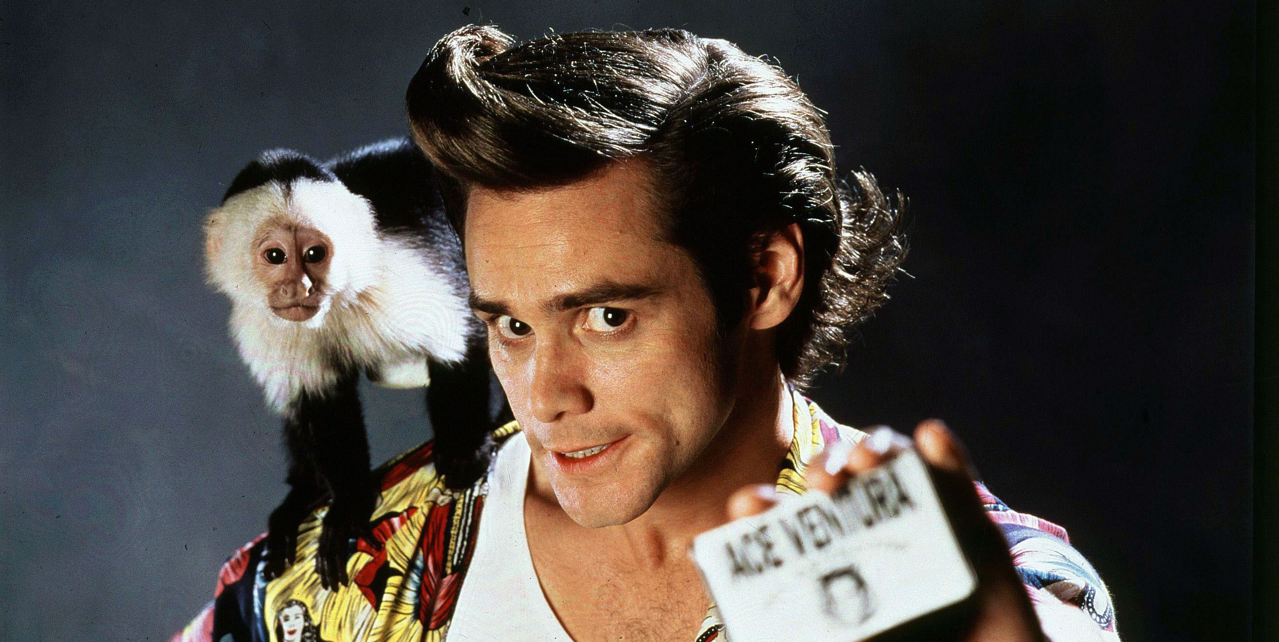 Jim Carrey - powrót do Ace Ventura możliwy? Aktor odpowiada